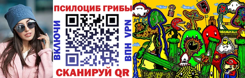 kraken зеркало  Краснокамск  Псилоцибиновые грибы GOLDEN TEACHER 